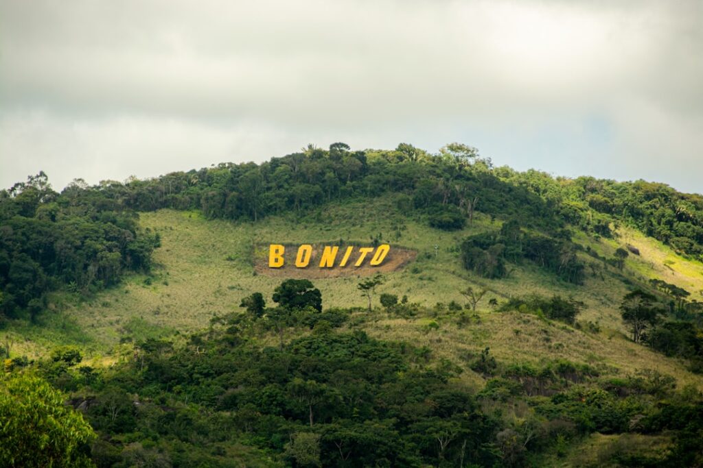Estratégias de Google Ads para Empresas em Rondonópolis-MT